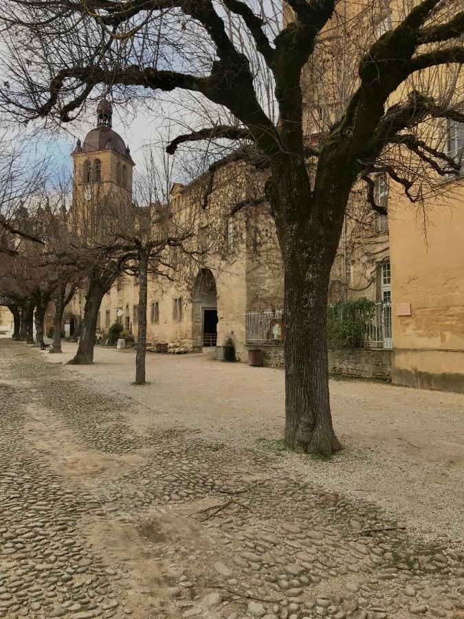Graine De Tilia Saint-Antoine (Isere) Exterior foto